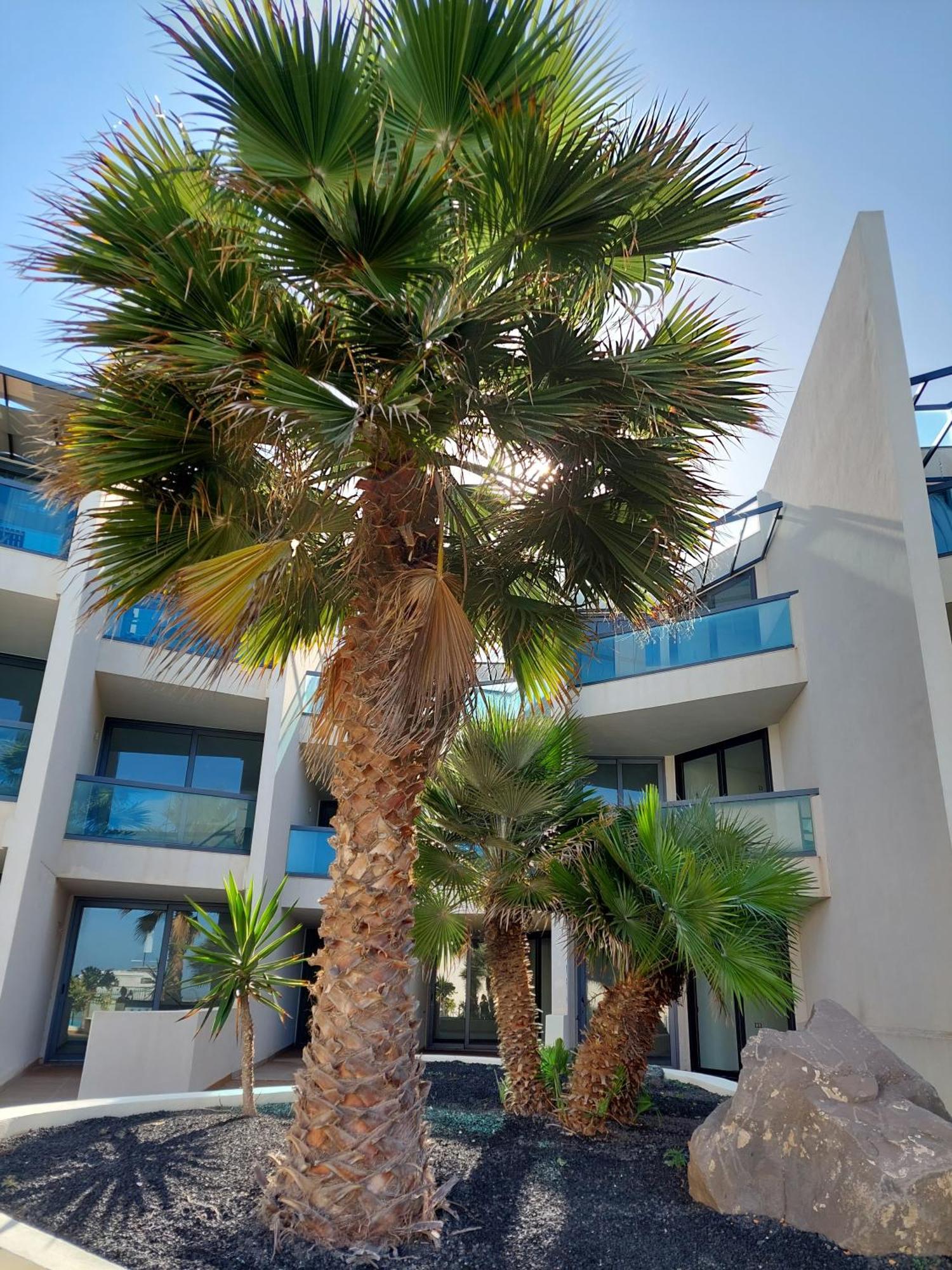 Sunset Spot Fuerteventura Cotillo Seaviews Premium Luaran gambar